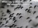 anyone-else-find-the-mosquitoes-are-horrible-this-year-v0-8n80fnr8ozcb1