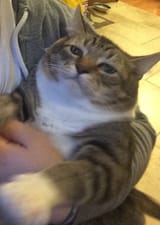 1642270676944
