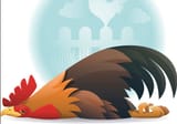 TeamRooster