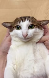 1743649886514381