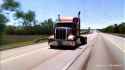 indian truck driver_thumb.jpg