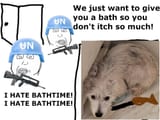 White Dog battles the UN at Bathtime