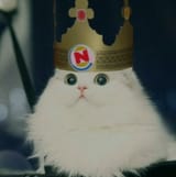 mr biggelsworth