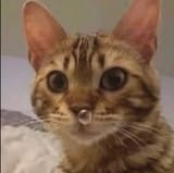 uuuuuhhhhhhhĥ
