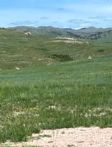 IMG_5014