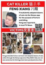 FENG XIANG Abuser Flyer template