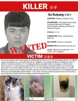 XU RUIYANG Abuser Flyer