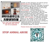 Stop Animal Abuse Postcard