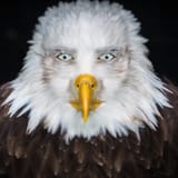 EtxwJ_N3.jpg_medium