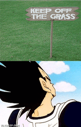 1479037768146