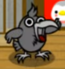 bird point
