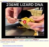 1655625185474
