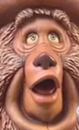 ffffff