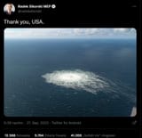 radek-sikorski-thank-you-usa-tweet
