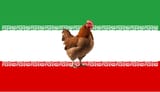 iranflag_chicken