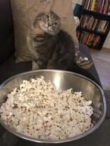 popcornkitteh2