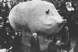 oink