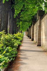 istockphoto-182500137-170667a