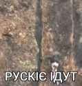 1742390071787614_thumb.jpg