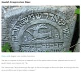 jewish_gravestones_deer
