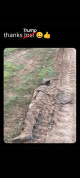 30yoboomer_20250617_055629