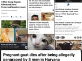 indians cant stop raping animals