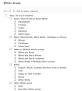 ethnicgroup