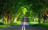 summer-landscape-road-hd-wallpaper-2