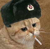 kommisar kot