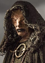 seer