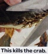 fug