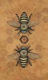bee t