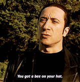 furio-bee[1]