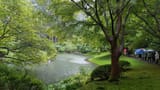 Vancouver rain nitobe park