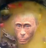sopa de monke