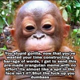 pre-made orangutan meme