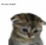 20250409_094133