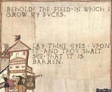 field_of_fucks