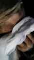 if only you knew how comfy things really are, 16-05-2025, NOT COMFY, MAGGOTS IN THE EYEBALL CHUG(1)_thumb.jpg