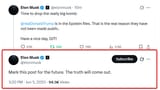 elon musk epstain trump