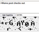 gaykikewilldieinwar