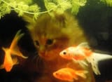 IMG_20250313_132117_072