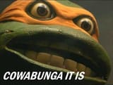 cowabunga it is