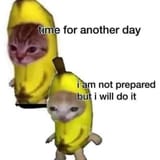 1748629802835086