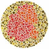 1a18413341585546fd223489436817f2a998f88264b59a60f57079a6b2106bba