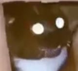 KAT!