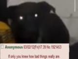 If_only_you_knew
