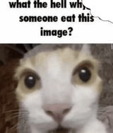 175012321987385