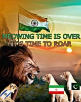 meowing time over time to roar israel iran india