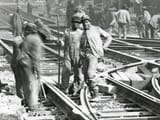 main-tracks